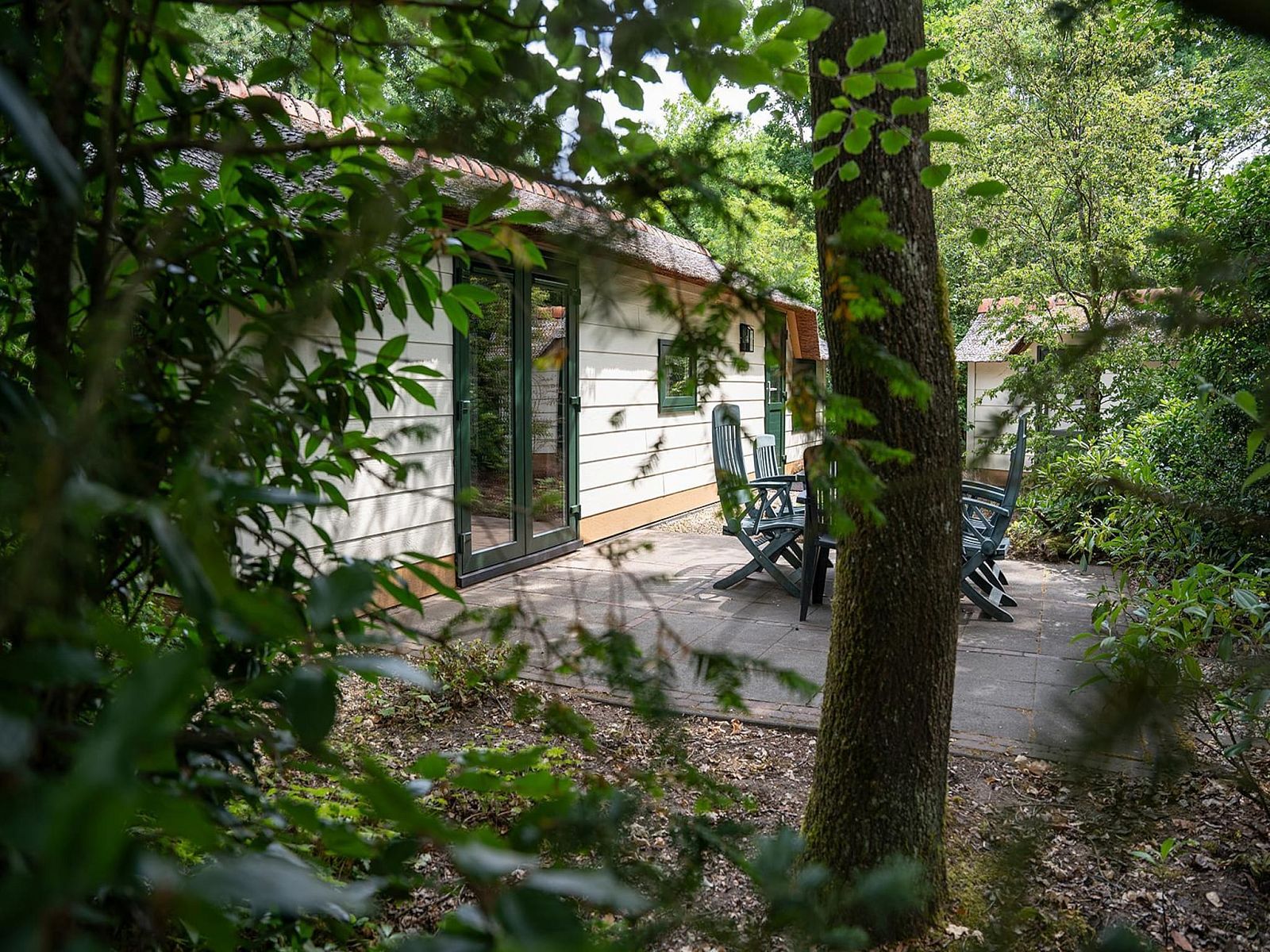 Verblijf 3209163 - Vakantiewoning Veluwe - Heivlinder 4+2p