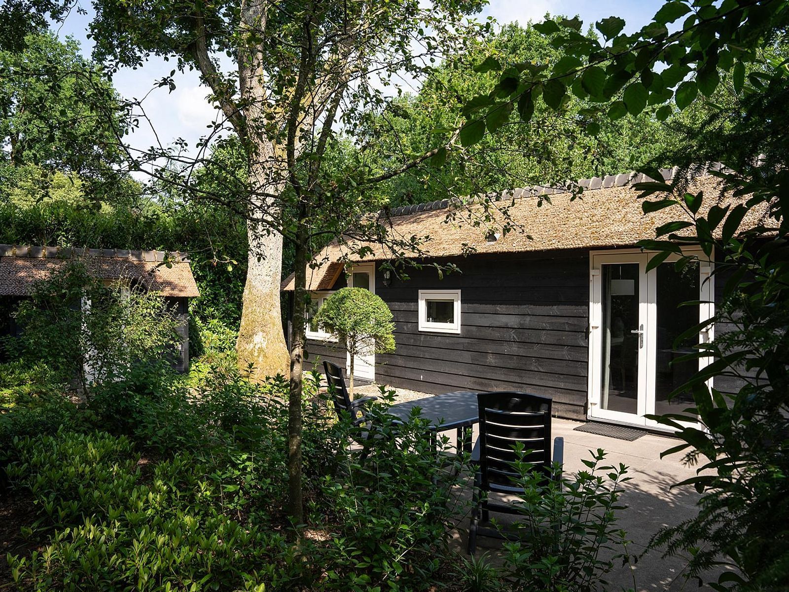 Verblijf 3209163 - Vakantiewoning Veluwe - Heivlinder 4+2p