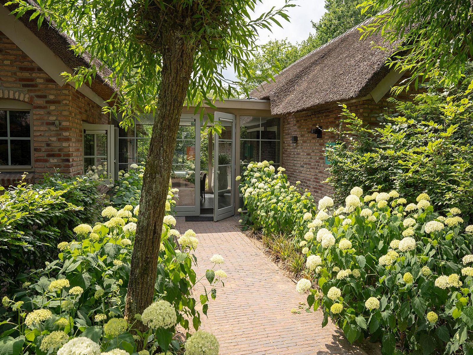 Verblijf 3209165 - Vakantiewoning Veluwe - Vlindervallei Studio 2p