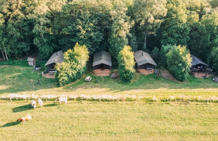 Prachtige natuur rondom Huisje in Ermelo, vakantiewoning op de Veluwe, Gelderland.