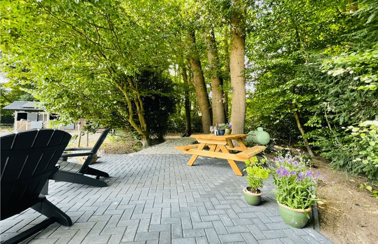 Schattige Terrasse am Ferienhaus in Ermelo, Veluwe, Gelderland mit Baeumen.