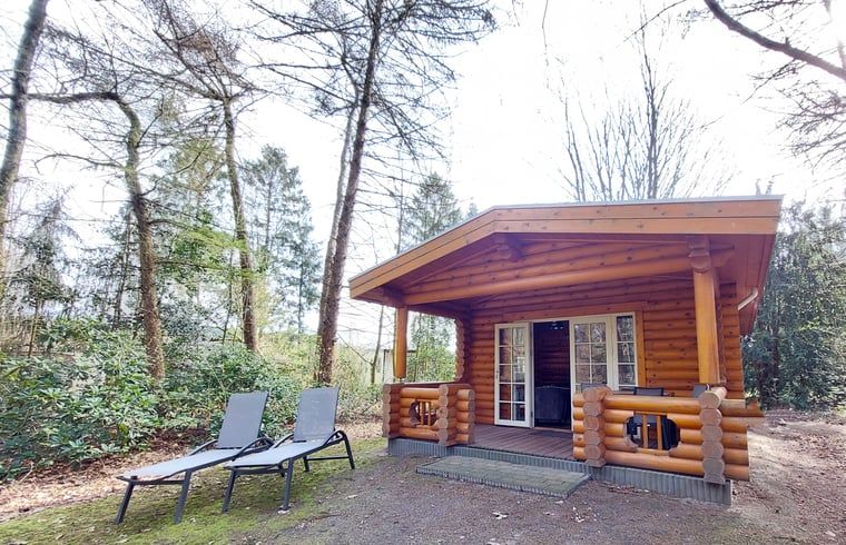 Rustikales Holzhaus in Ermelo, Veluwe, mit Veranda und Liegestuehlen inmitten der Natur in Gelderland.