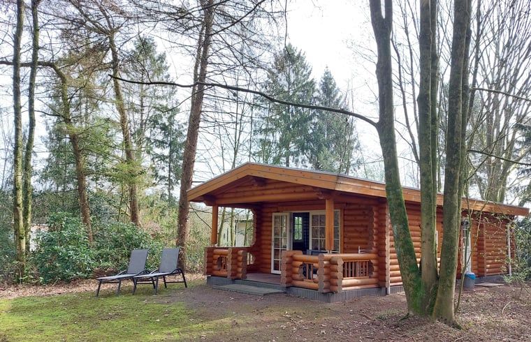 Ferienhaus in Ermelo, ein charmantes Ferienhaus in den Waeldern der Veluwe in Gelderland, mit einer einladenden Terrasse inmitten der Natur.