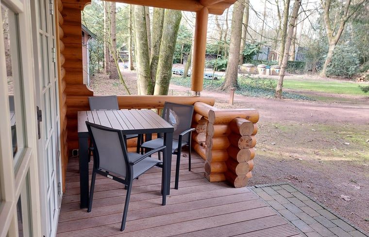 Geniessen Sie die waldige Aussicht von der Veranda des Huisje in Ermelo, einem gemuetlichen Ferienhaus an der Veluwe in Gelderland.