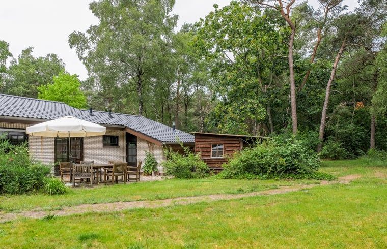 Huisje in Ermelo, een gezellig vakantiehuis op de Veluwe in Gelderland, omgeven door groene natuur en rustgevende bossen.