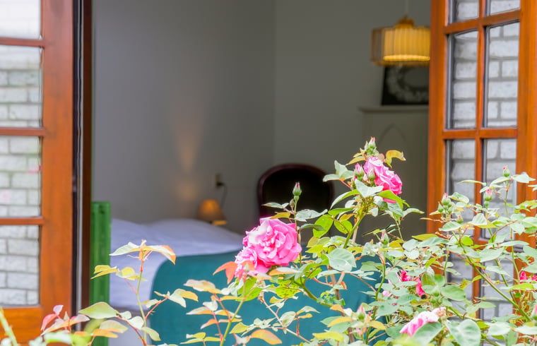 Verblijf 320994 - Vakantiewoning Veluwe - Huisje in Ermelo