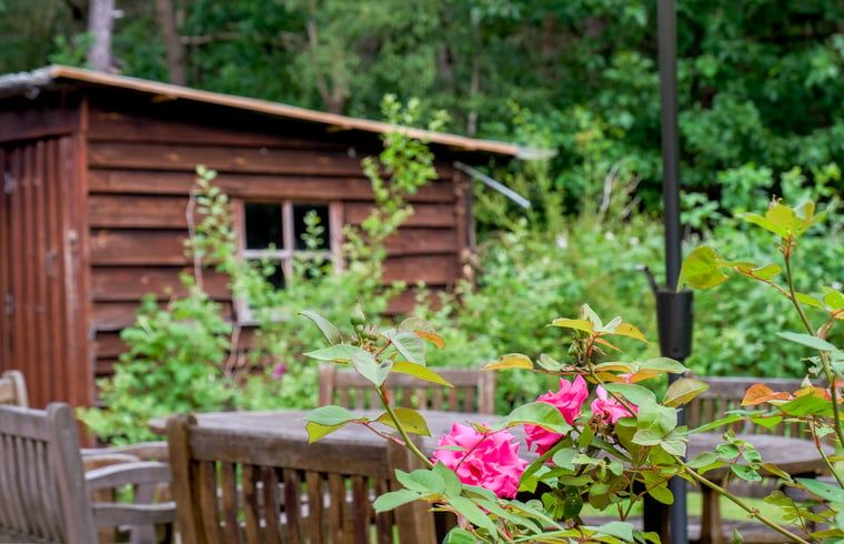Verblijf 320994 - Vakantiewoning Veluwe - Huisje in Ermelo