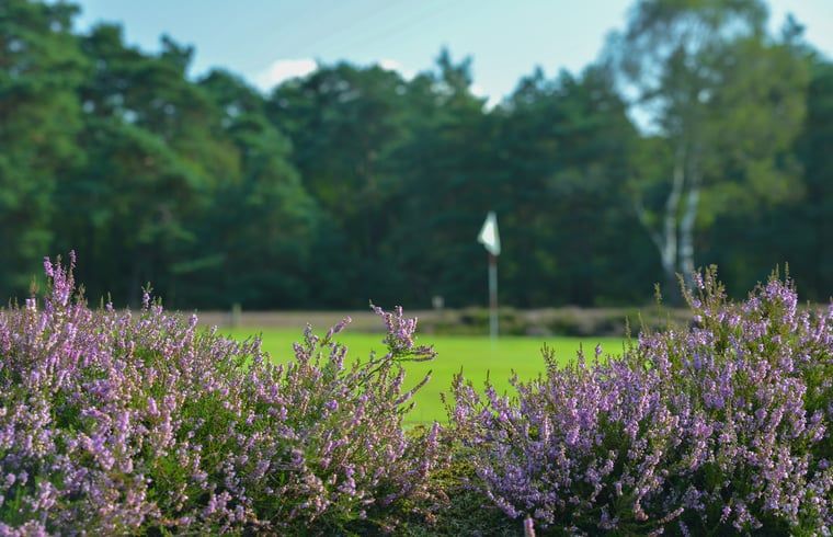 Verblijf 320994 - Vakantiewoning Veluwe - Huisje in Ermelo