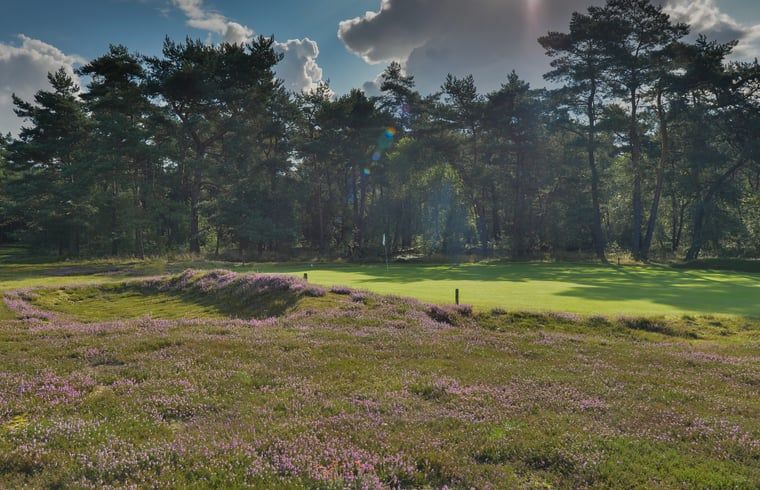 Verblijf 320994 - Vakantiewoning Veluwe - Huisje in Ermelo