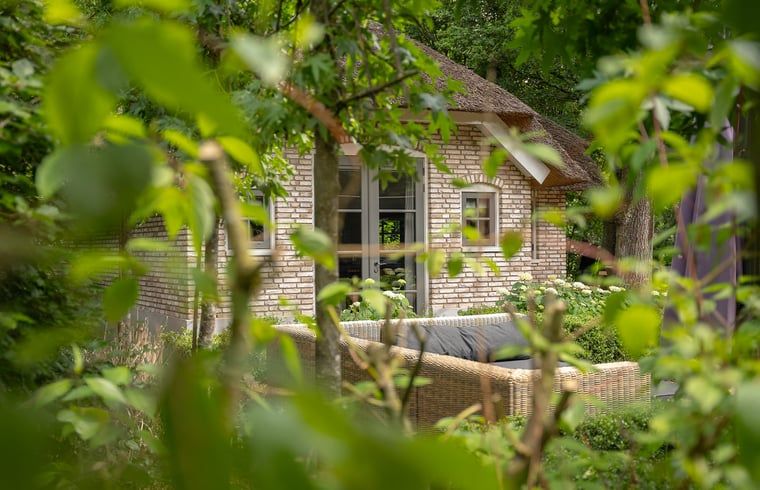 Cozy terrace at Cottage in Ermelo, vacation home in wooded Veluwe, Gelderland.