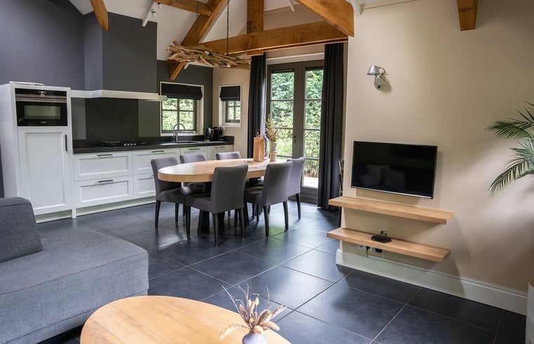 Modern kitchen and dining area in Cottage in Ermelo, vacation home in Veluwe, Gelderland with open layout.