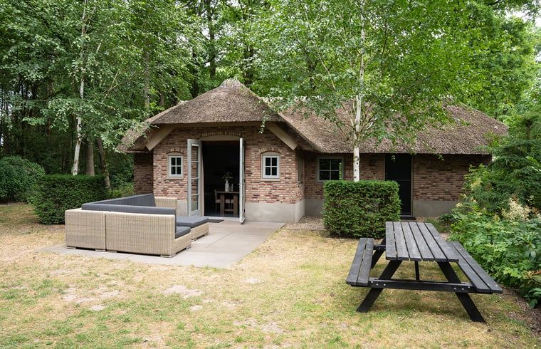 Guest house 320995 - Holiday property Veluwe - Huisje in Ermelo