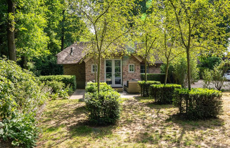 Guest house 320995 - Holiday property Veluwe - Huisje in Ermelo