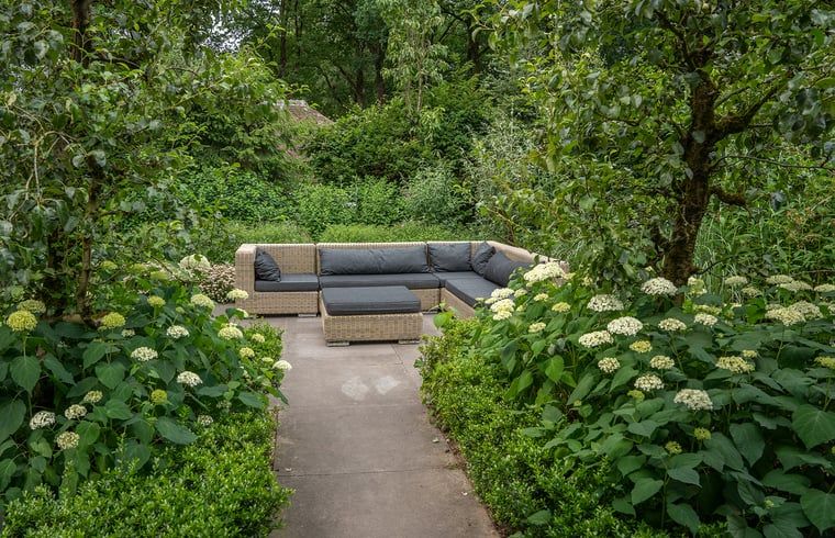 Guest house 320995 - Holiday property Veluwe - Huisje in Ermelo