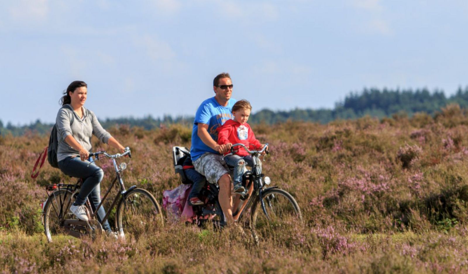 Die Tiny Lodge in Harderwijk, Veluwe, Gelderland, bietet einen abenteuerlichen Tag mit der Familie auf dem Fahrrad durch die Moore.