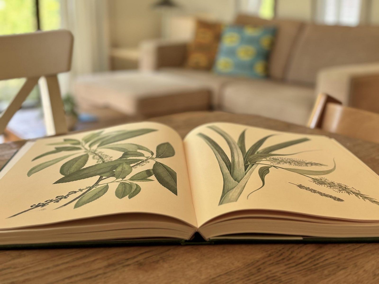 Guest house 321038 - Holiday property Veluwe - Tiny Lodge Basic