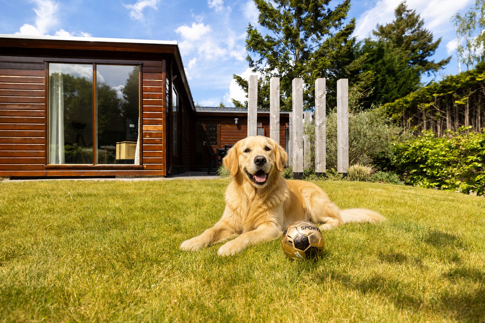 Verblijf 321045 - Vakantiewoning Veluwe - Bungalow Comfort Huisdiervrij
