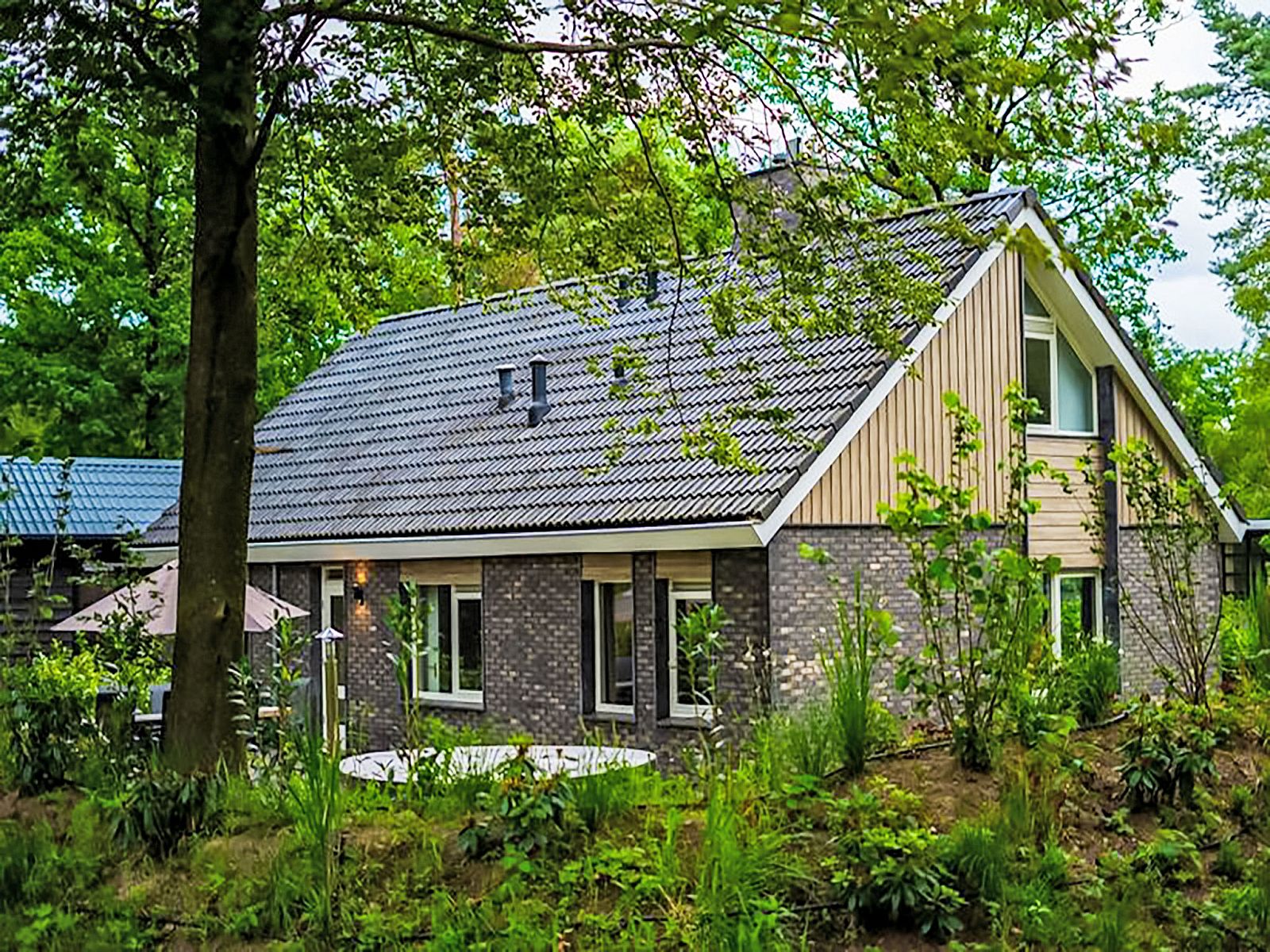 Vorderansicht des Ferienhauses Specht in Hoenderloo, Veluwe, Gelderland, umgeben von Natur.