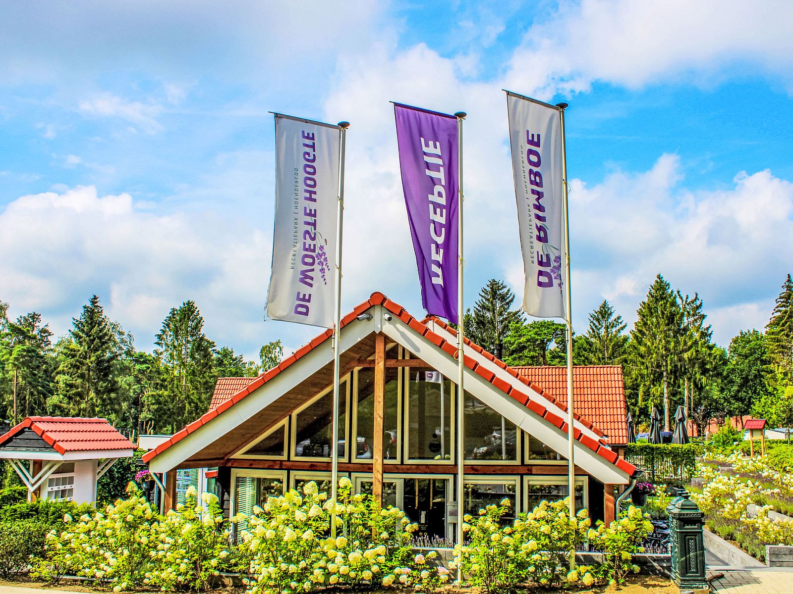 Wanderweg durch den Wald in der Naehe von Holiday Home Specht, Hoenderloo, Veluwe, Gelderland.