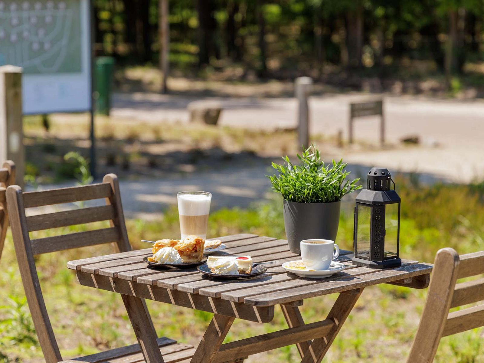 Verblijf 3211113 - Vakantiewoning Veluwe - Vrijstaande woning in Hoenderloo