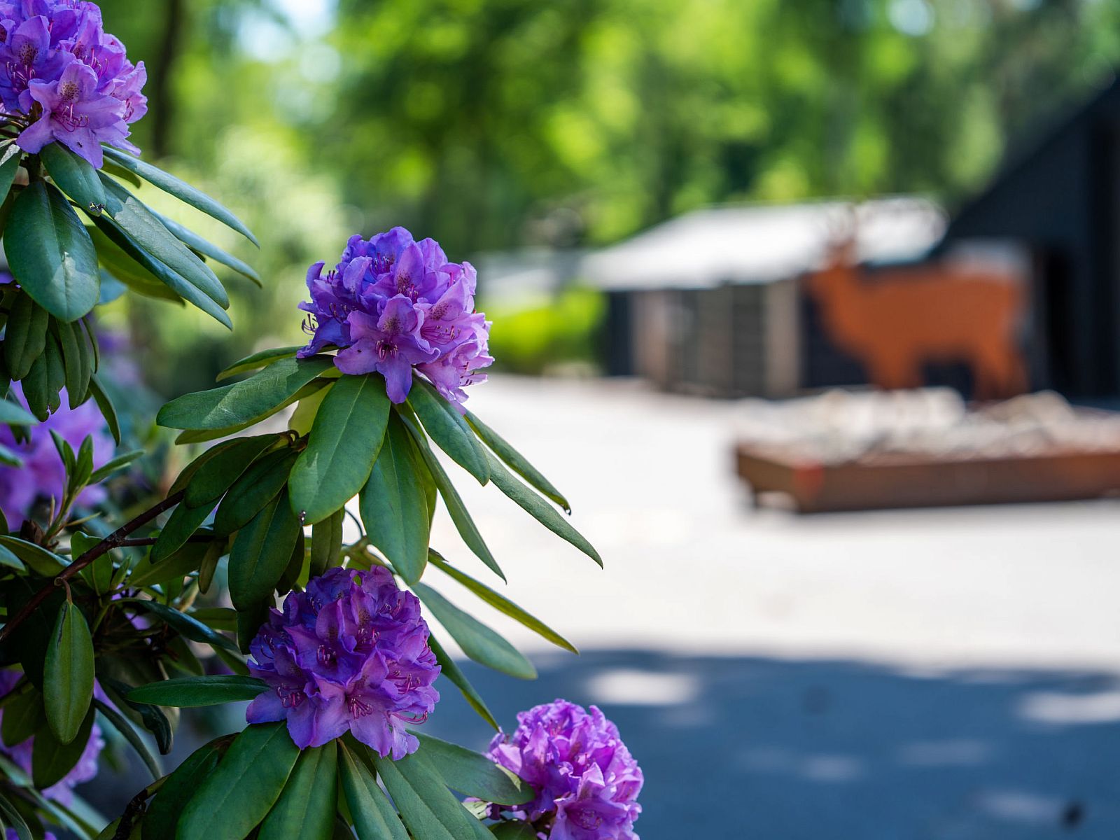 Verblijf 3211115 - Appartement Veluwe - Appartement Celisa s Häuschen