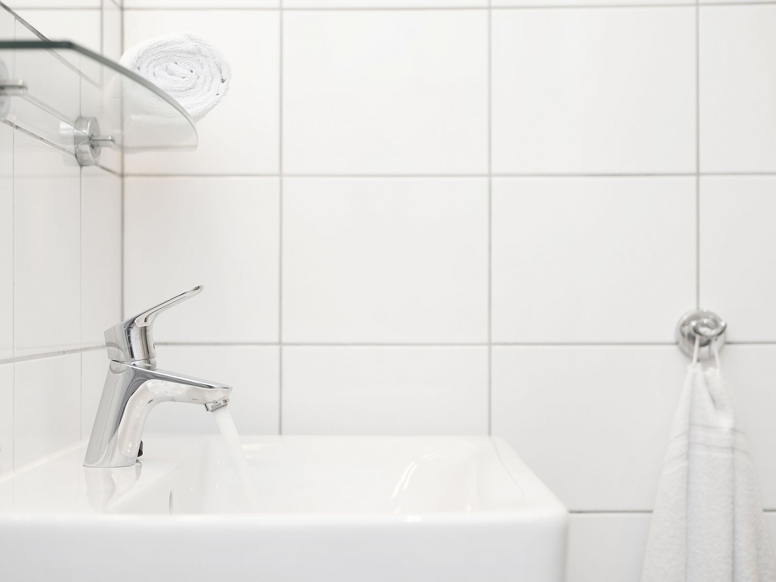 Unterkunft 3211129 - Bungalow Veluwe - Miggelenberg | 4-persoons hondenbungalow | 4CD