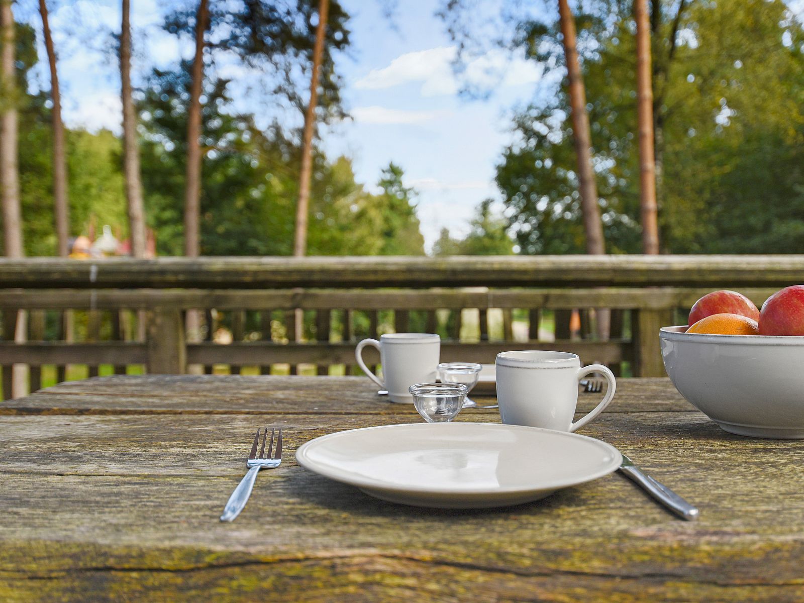 Verblijf 3211132 - Bungalow Veluwe - Miggelenberg | 4-persoons tree house | 4CTH