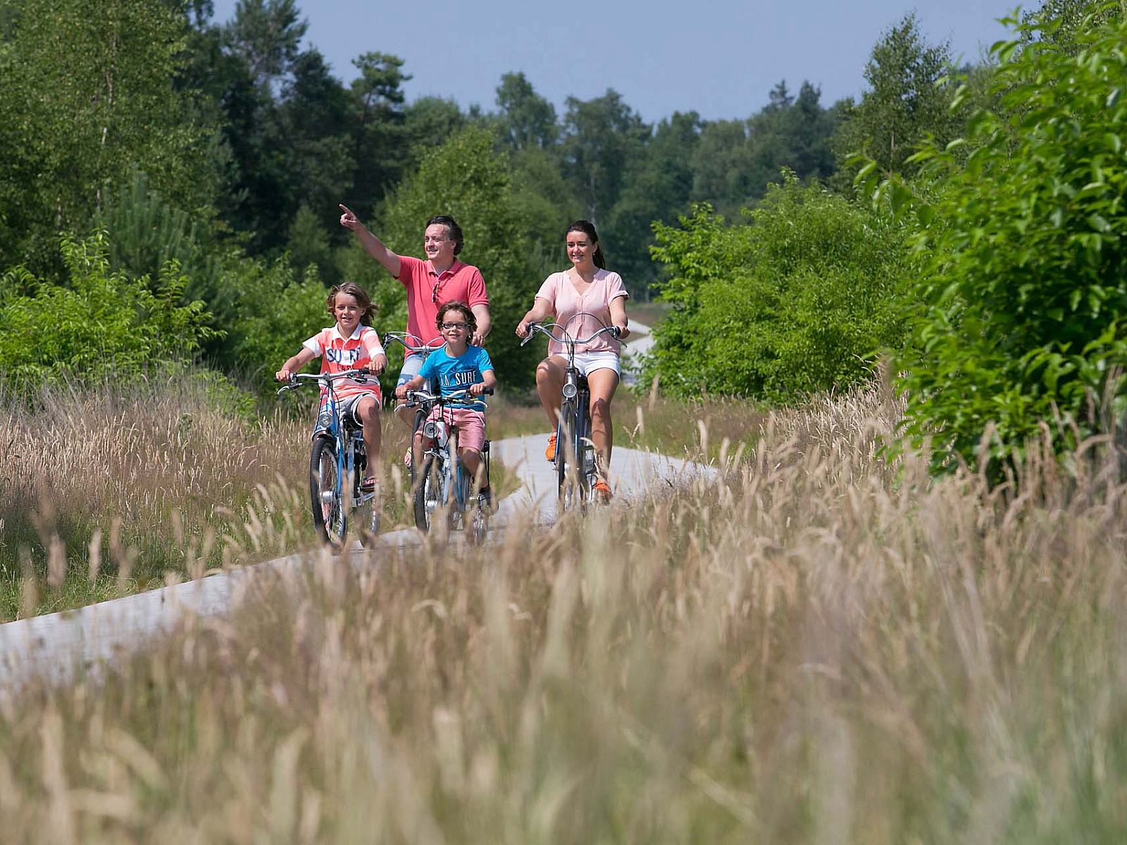 Family cycling through nature near detached house Hoenderloo, Veluwe, Gelderland.