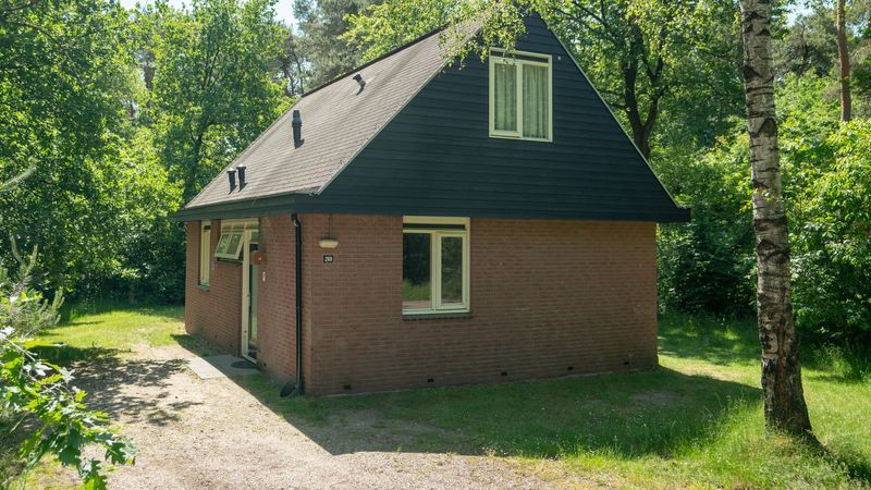 Achteraanzicht van Miggelenberg 8-persoons bungalow 8C, Hoenderloo, Veluwe omgeven door groen.