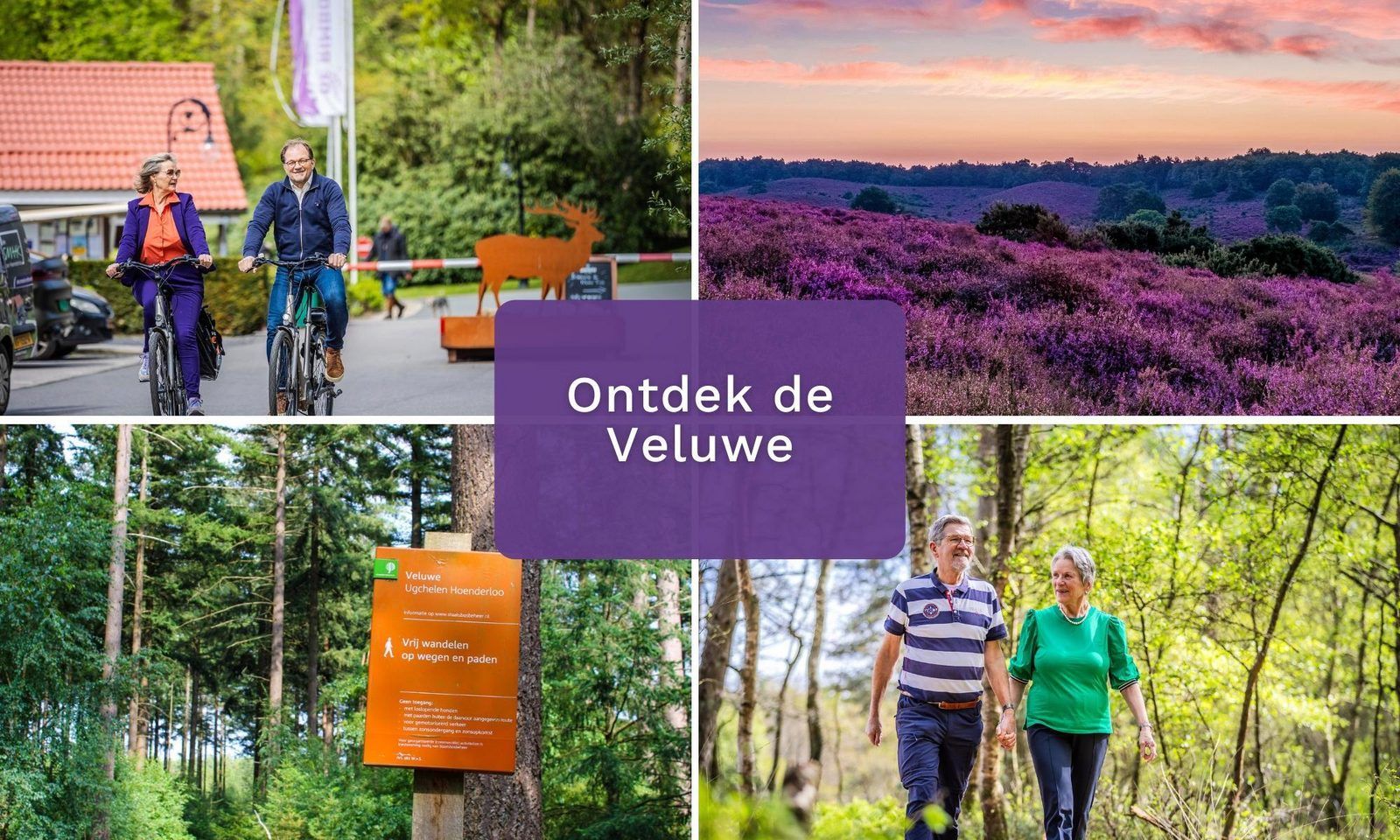 Discover the Veluwe from Vakantiewoning Heidehoeve comfort in Hoenderloo, ideal for cycling and hiking.