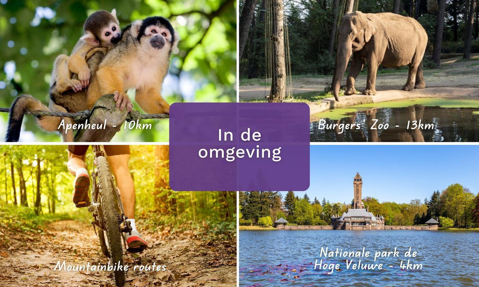 Surroundings of Vakantiewoning Heidehoeve comfort in Hoenderloo, near Apenheul and National Park De Hoge Veluwe.