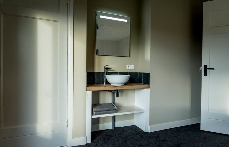 Stijlvolle wastafel in slaapkamer van Huisje in Hoenderloo, Veluwe, met moderne accenten.