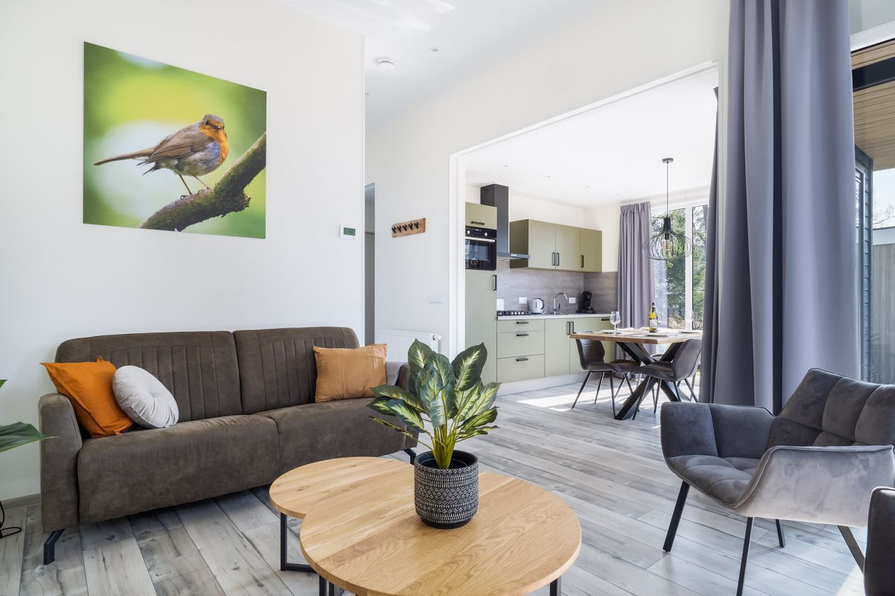 Gezellige woonkamer van de vrijstaande woning in Hoenderloo, ideaal voor ontspanning, Veluwe, Gelderland.