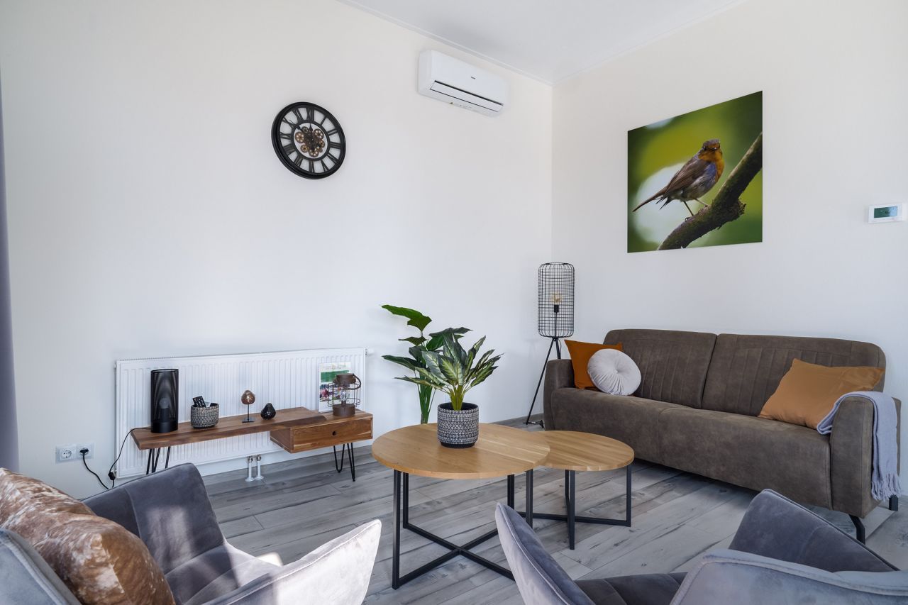Comfortabele zithoek in de vrijstaande woning in Hoenderloo, Veluwe, met moderne meubels.