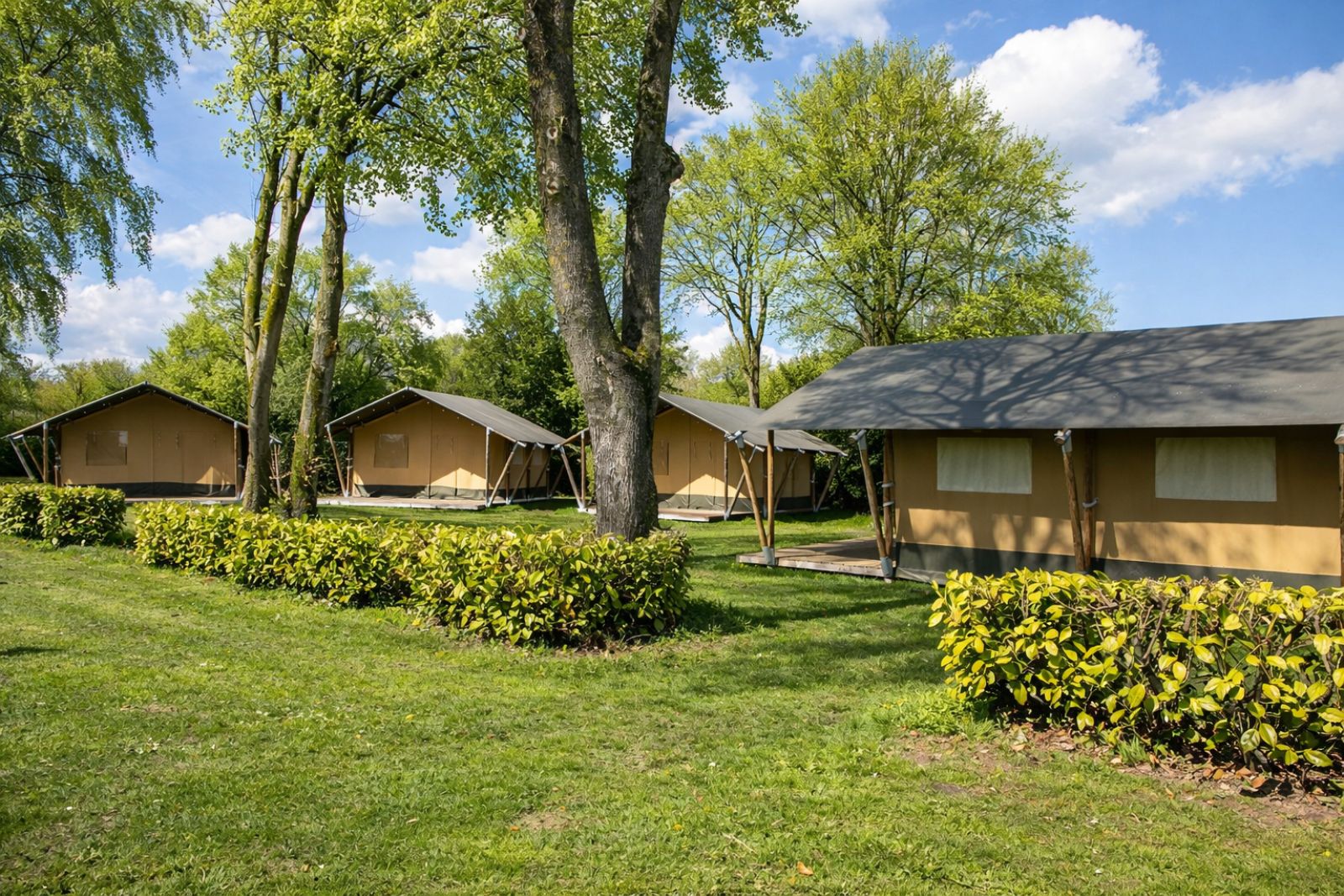 Verblijf 321535 - Tenthuis Veluwe - Safaritenten Familieverblijf