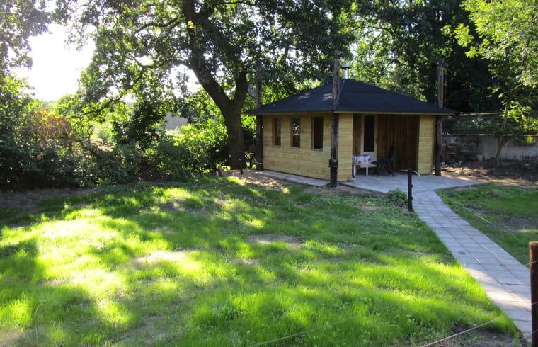 Unterkunft 321730 - Ferienhaus Veluwe - Vakantiehuis in Garderen