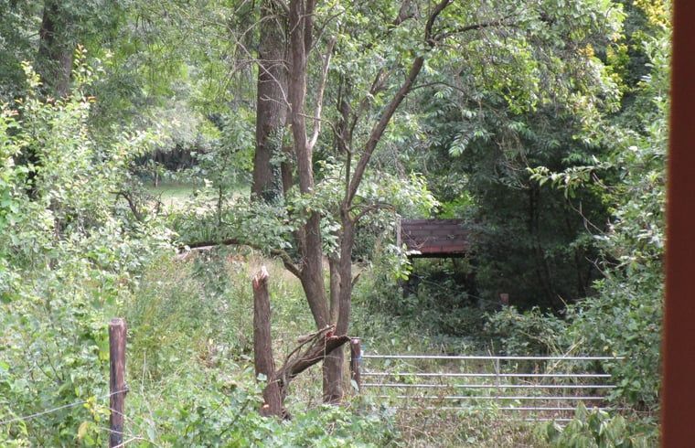 Unterkunft 321730 - Ferienhaus Veluwe - Vakantiehuis in Garderen