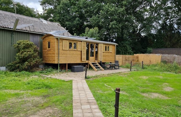 Unterkunft 321730 - Ferienhaus Veluwe - Vakantiehuis in Garderen