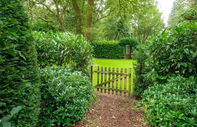 Unterkunft 321740 - Ferienhaus Veluwe - Huisje in Garderen