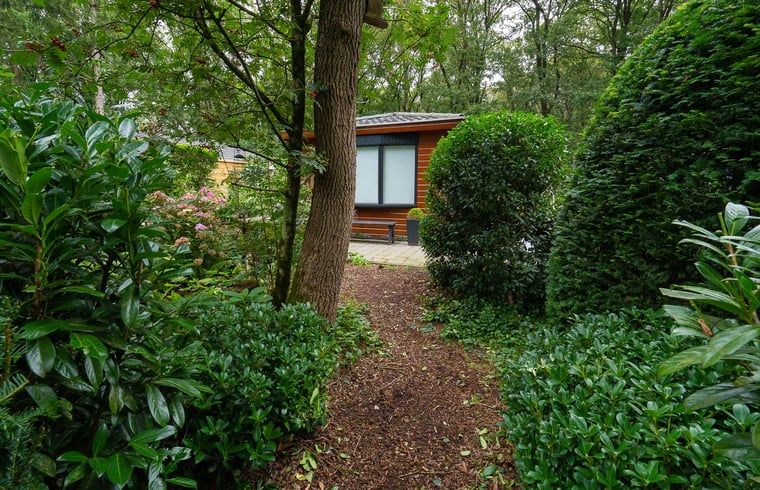 Unterkunft 321740 - Ferienhaus Veluwe - Huisje in Garderen