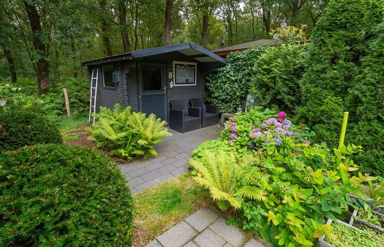 Unterkunft 321740 - Ferienhaus Veluwe - Huisje in Garderen