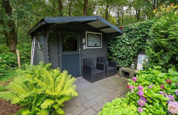 Unterkunft 321740 - Ferienhaus Veluwe - Huisje in Garderen