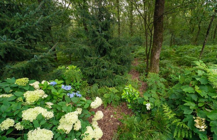 Unterkunft 321740 - Ferienhaus Veluwe - Huisje in Garderen