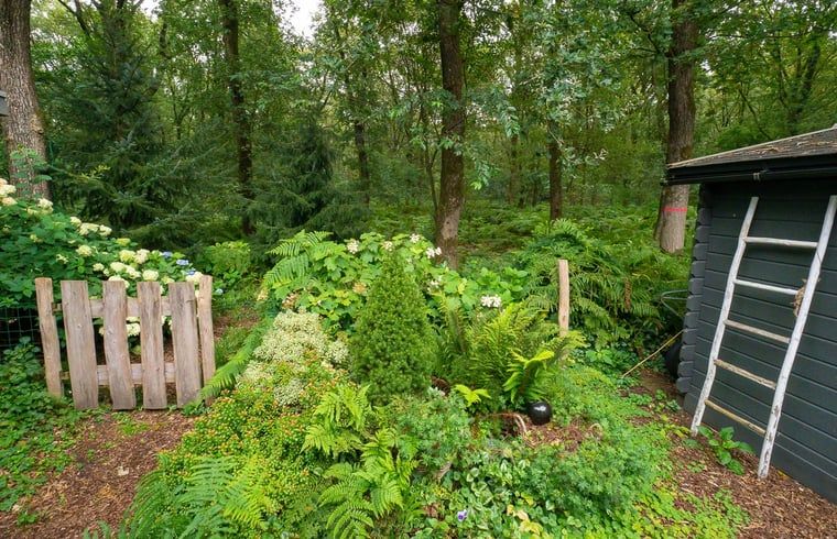 Unterkunft 321740 - Ferienhaus Veluwe - Huisje in Garderen