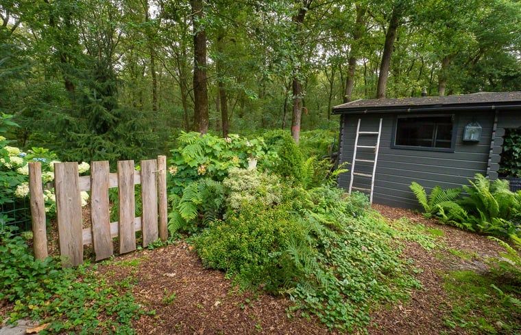Unterkunft 321740 - Ferienhaus Veluwe - Huisje in Garderen