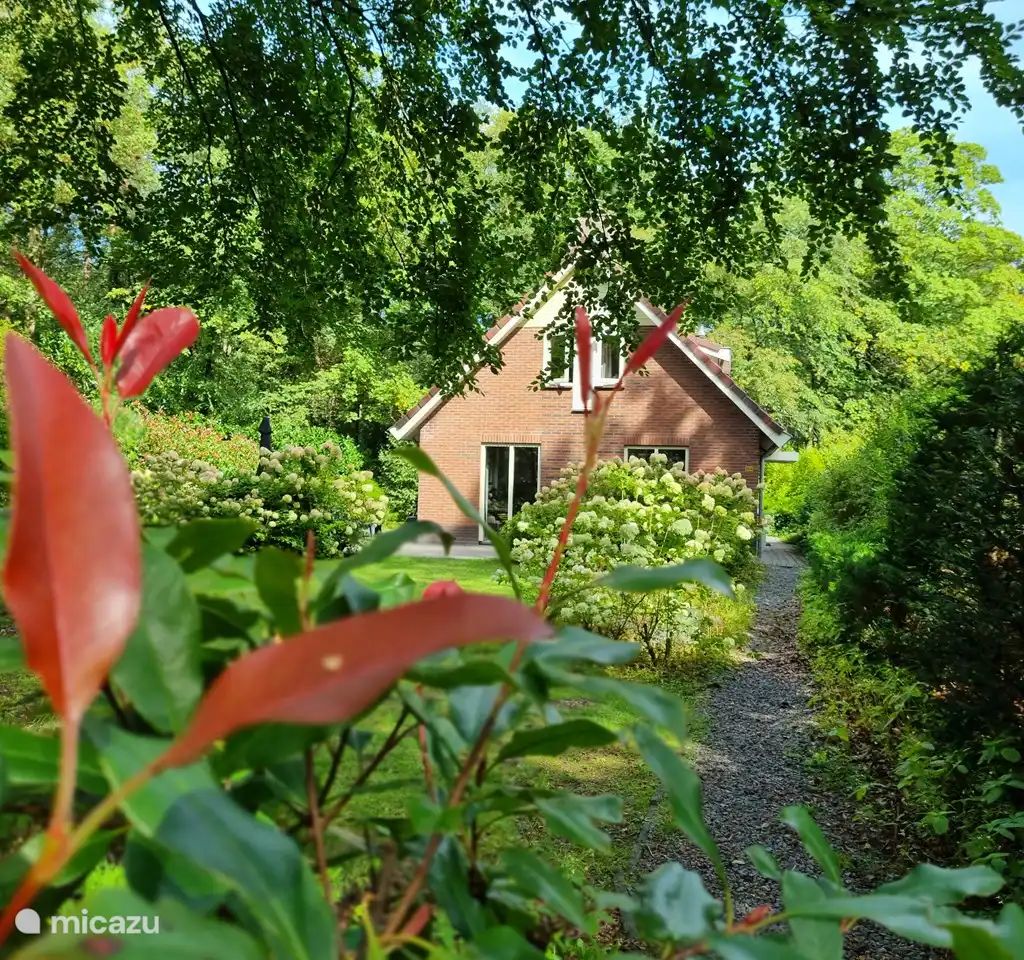Unterkunft 321755 - Bungalow Veluwe - Bosbungalow Garderen