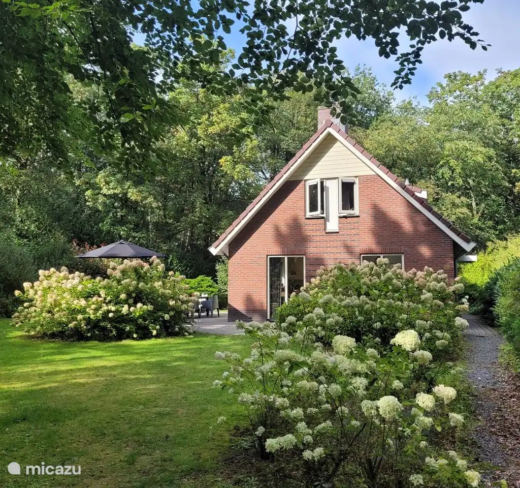 Unterkunft 321755 - Bungalow Veluwe - Bosbungalow Garderen