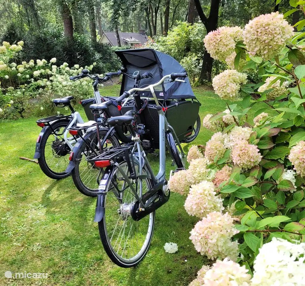 Unterkunft 321755 - Bungalow Veluwe - Bosbungalow Garderen