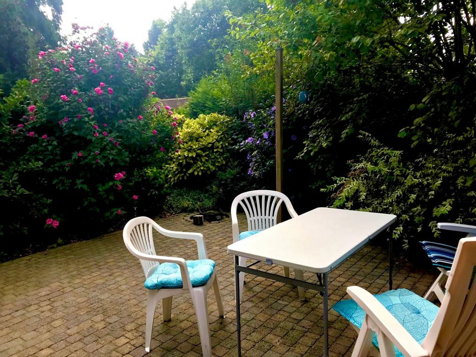 Guest house 321761 - Chalet Veluwe - Chalet 'Bosanemoon'