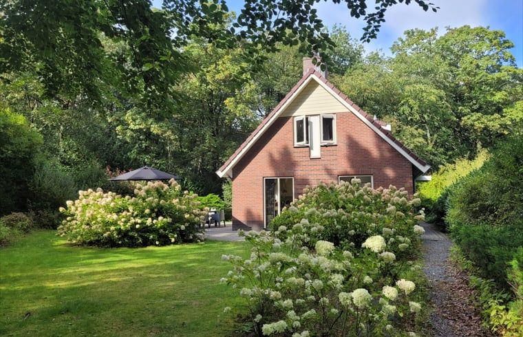 Gezellige tuin bij Huisje in Garderen, vakantieverblijf op de Veluwe, Gelderland.
